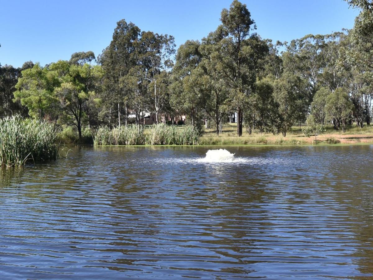Blaxlands Homestead - Nothing Is Closer Opposite Hope Estate With Wifi And Pool Plus Fireplace Pokolbin Buitenkant foto